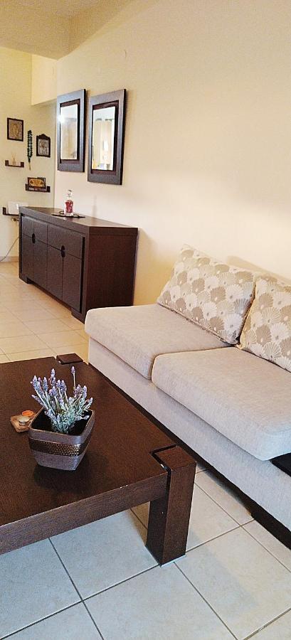 Holiday & Business Furnished Apartments มิทิคาส ภายนอก รูปภาพ